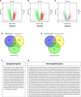 Identifying and Validating Potential Biomarkers of Early Stage Lung Adenocarcinoma Diagnosis and Prognosis